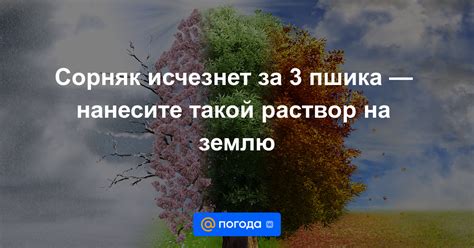 Нанесите специальный раствор на аквапринт