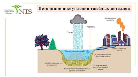 Негативное влияние дистиллированной воды на металлы