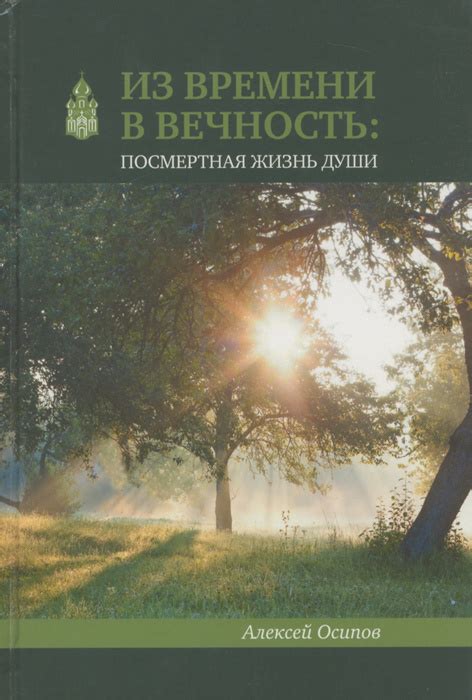 Непредсказуемая вечность: цветовое изменение по времени