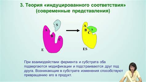 Неспецифический генез: как он формируется и его значение для организма