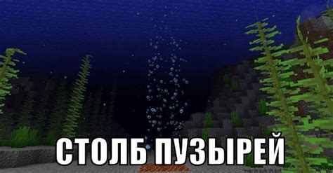 Оптимальная версия джавы для Minecraft: как выбрать