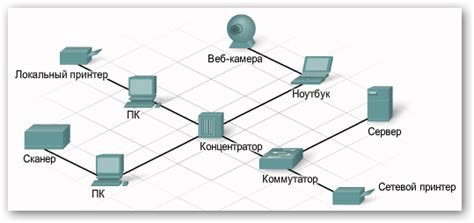 Основные компоненты и примеси