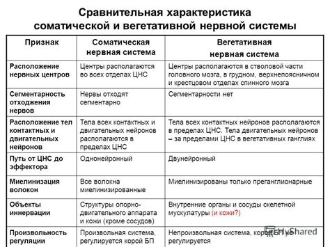 Особенности боевой системы и сочетание умений