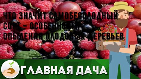 Особенности опыления