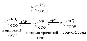 Отношение к щелочам