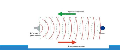 Отражение и поглощение ультразвука