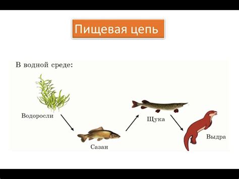 Построение водной системы