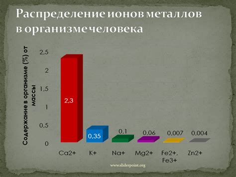 Распределение драгоценных металлов в Мп41