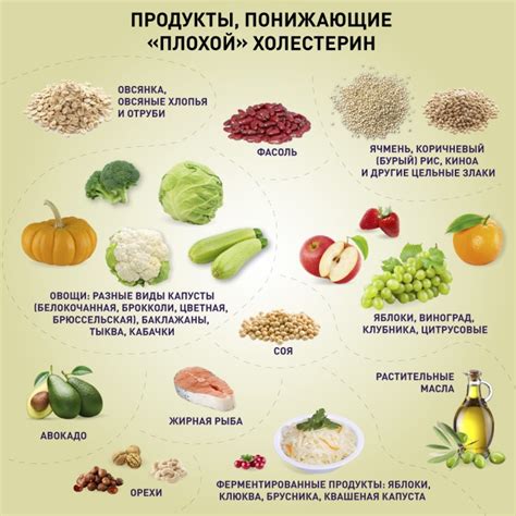 Регулярное потребление продуктов, которые способствуют снижению уровня железа в организме