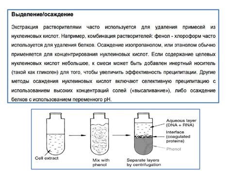 Роль комплексообразования в реакции с солями тяжелых металлов