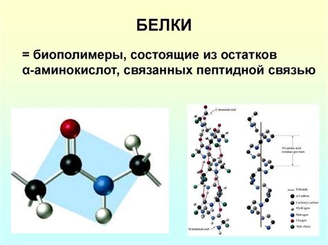 Роль сольватации в процессе реакции