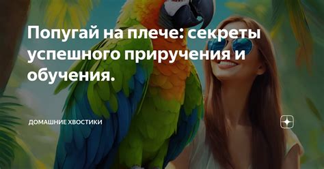 Секреты успешного приручения