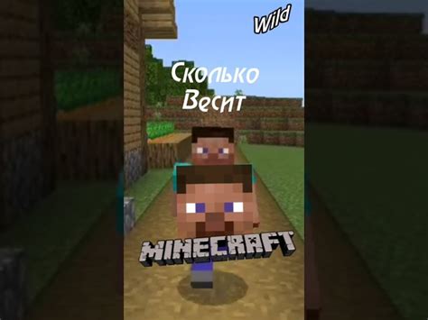 Сколько весит Minecraft Dungeons