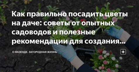 Советы и рекомендации для создания бессмертного моба