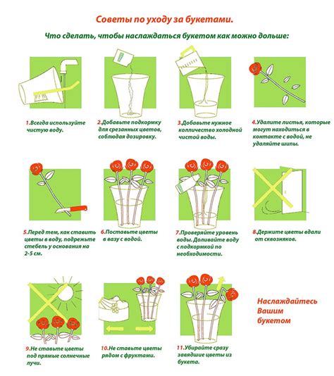 Советы по профилактике и уходу за ранами