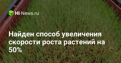 Советы по увеличению скорости роста растений