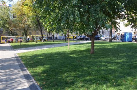 Сочетания для городской площади или сквера