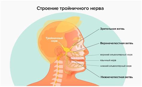 Стоматологические причины