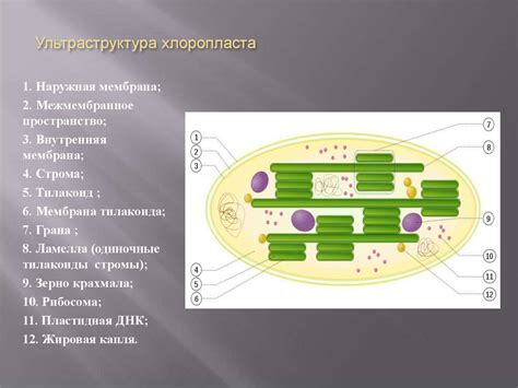 Структурные несплошности и их формирование