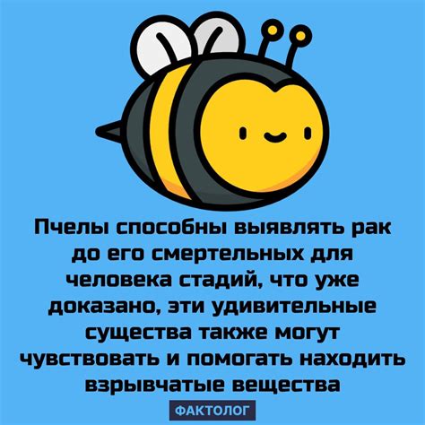 Удивительный факт о Ё