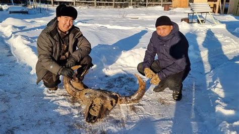 Улучшение экипировки с помощью зуба бизона