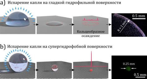 Формирование осадка