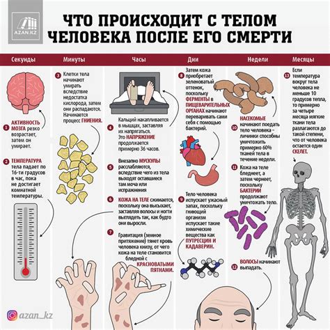 Что происходит с вариатором после сдачи