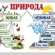 Шаг 3: Воздействие на ржавчину