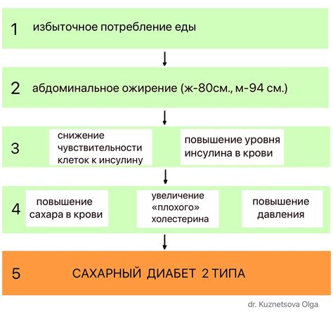 Этапы развития семенища