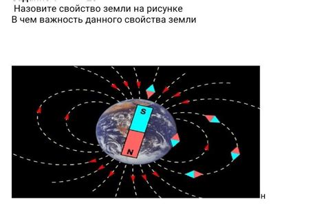  Магнитное свойство 