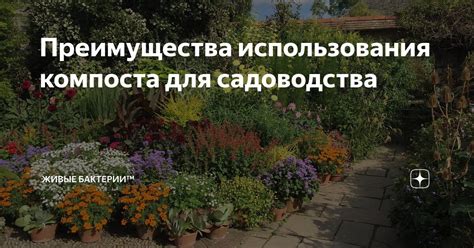  Преимущества использования компоста 