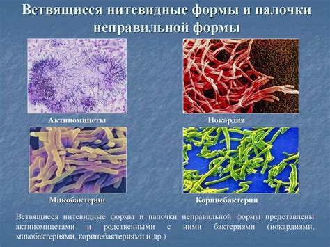  Роль микробиологии в получении металлов 