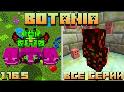 Botania аддоны для Майнкрафт: полный гайд