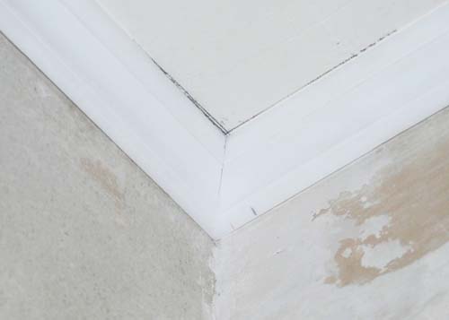 Вот мы отрезали два потолочных плинтуса. Фото 5 Вот мы отрезали два потолочных плинтуса. Фото 5