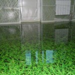 Наливные полы 3д фото дизайн