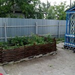 prodam-pletenie-iz-lozy-i-oreshnika-ukrainskiy-tyn--ba87-1379444234920883-15-big