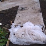 Укладка агроволокна