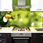 Скинали с рисунком попугая. Фото 10