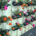 vertikalnyiy-sad-iz-plastikovyih-butyilok2